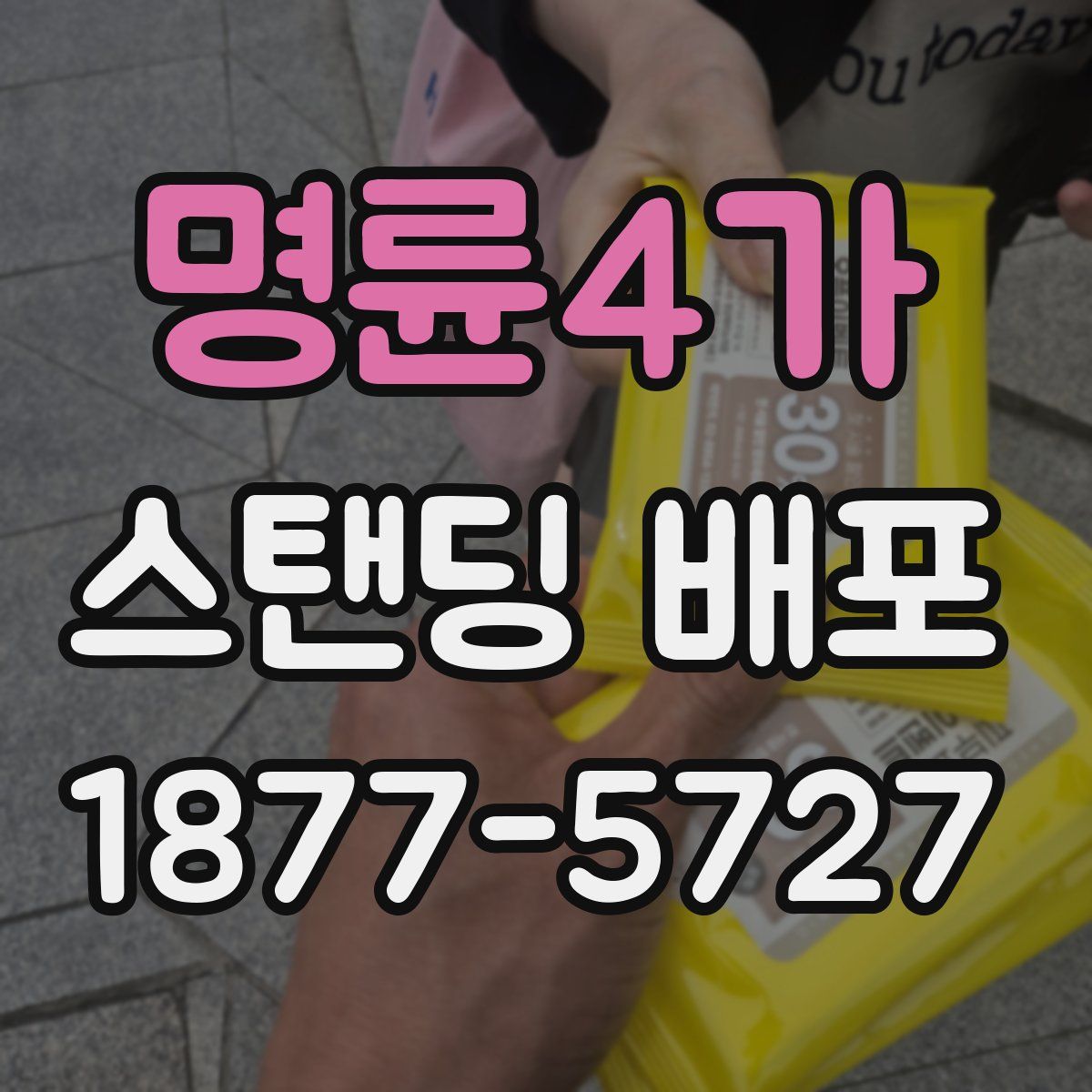 명륜4가 스탠딩 배포