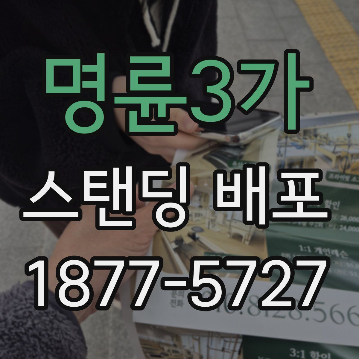 명륜3가 스탠딩 배포