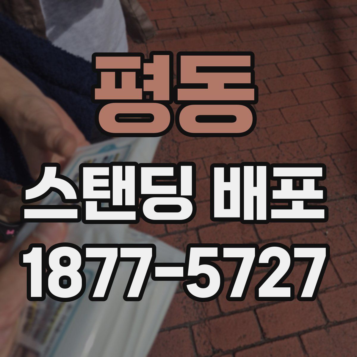 평동 스탠딩 배포