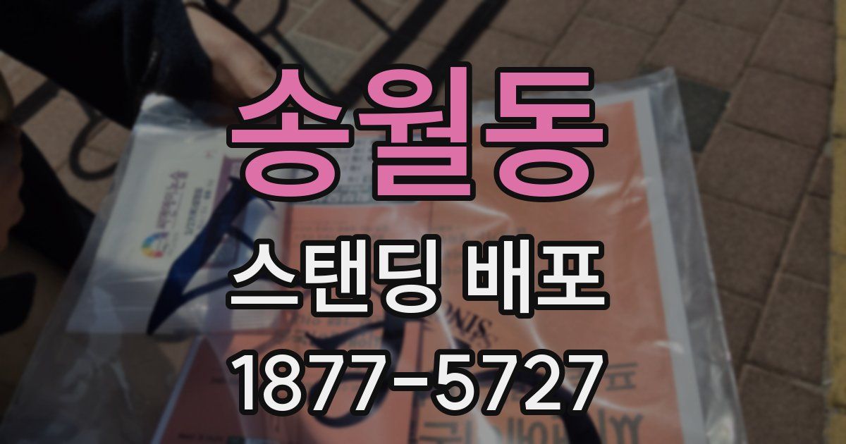 송월동 스탠딩 배포