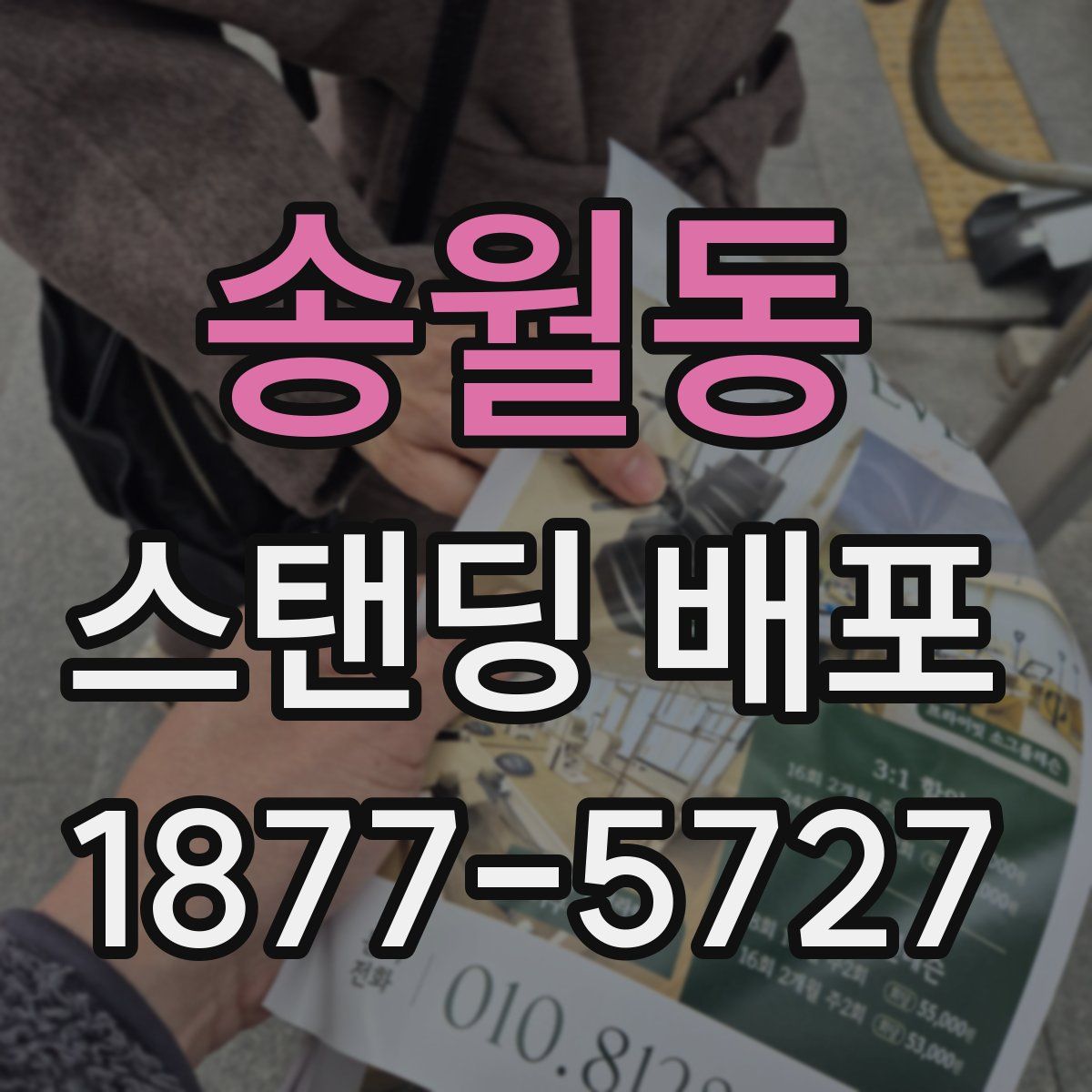 송월동 스탠딩 배포