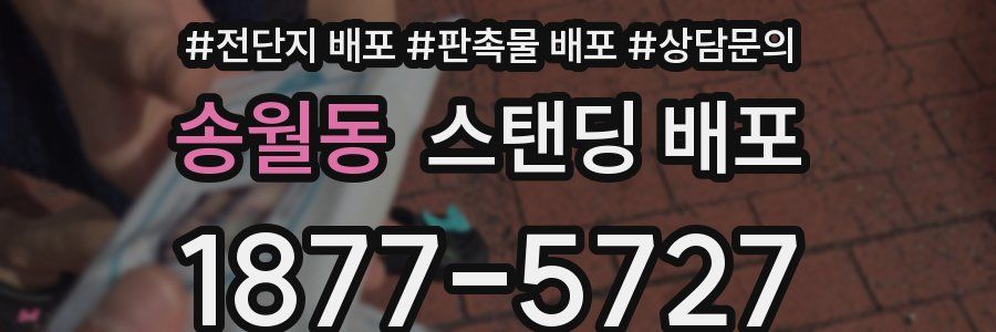 송월동 스탠딩 배포