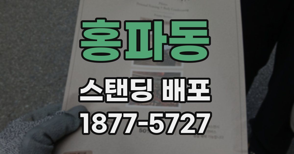 홍파동 스탠딩 배포