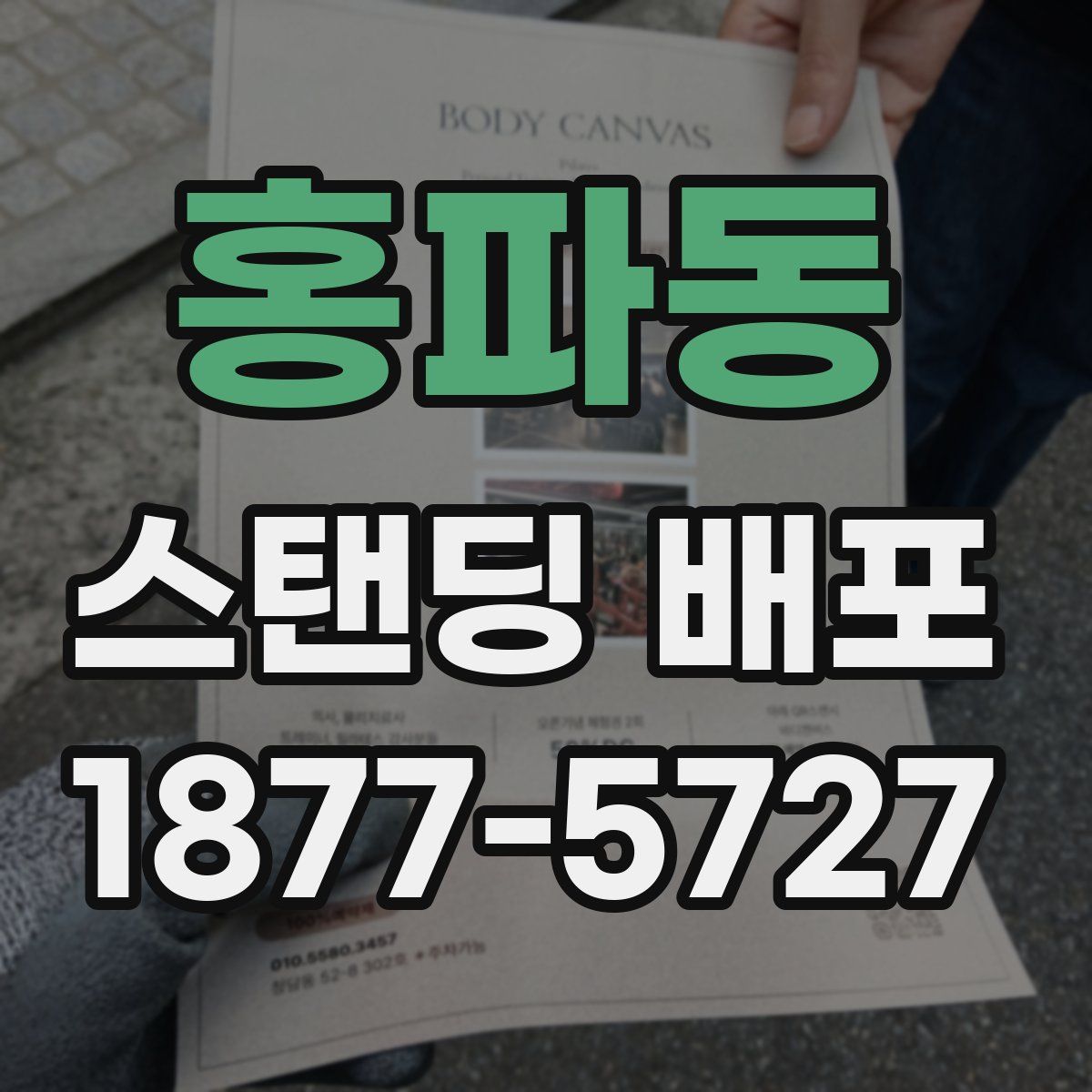 홍파동 스탠딩 배포
