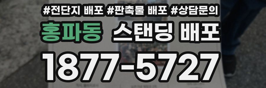 홍파동 스탠딩 배포