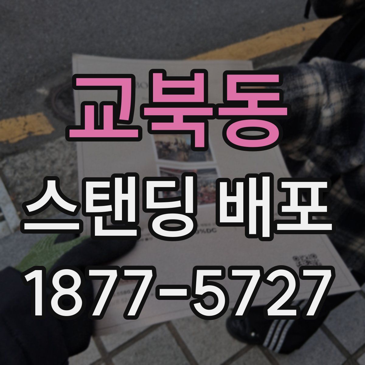 교북동 스탠딩 배포