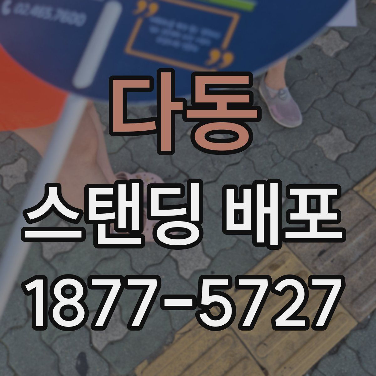 다동 스탠딩 배포