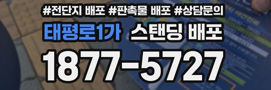 태평로1가 스탠딩 배포