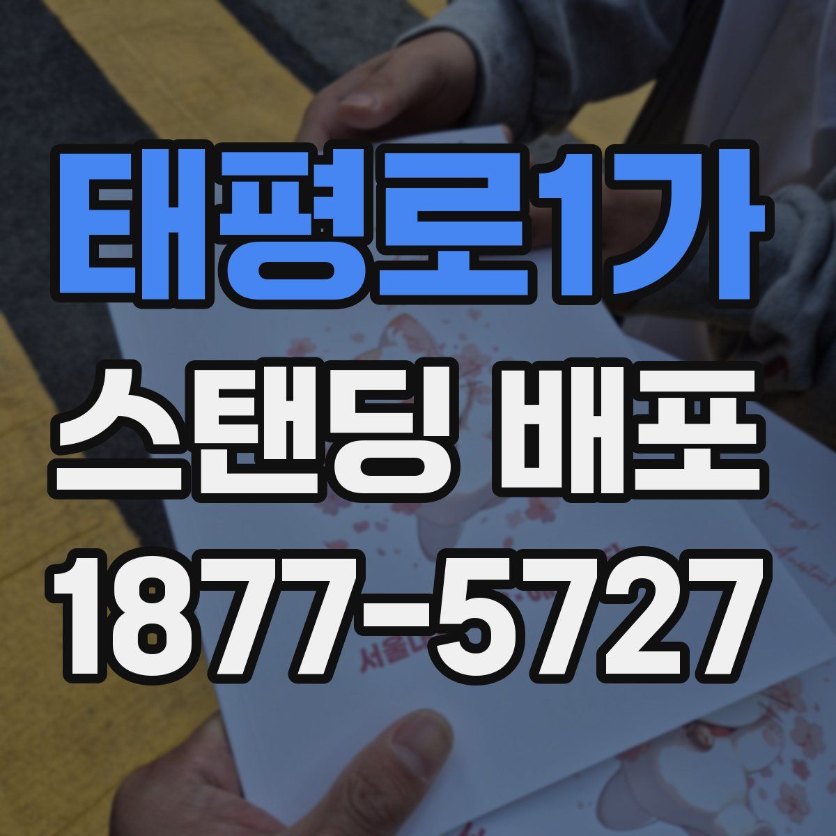 태평로1가 스탠딩 배포