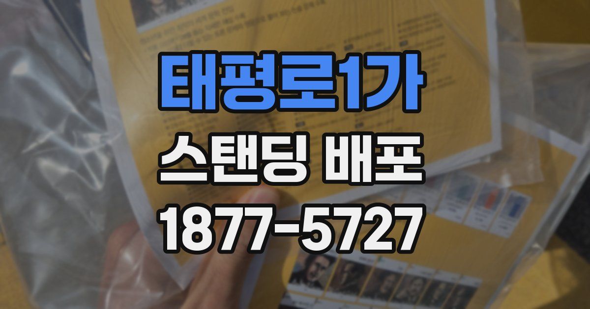 태평로1가 스탠딩 배포