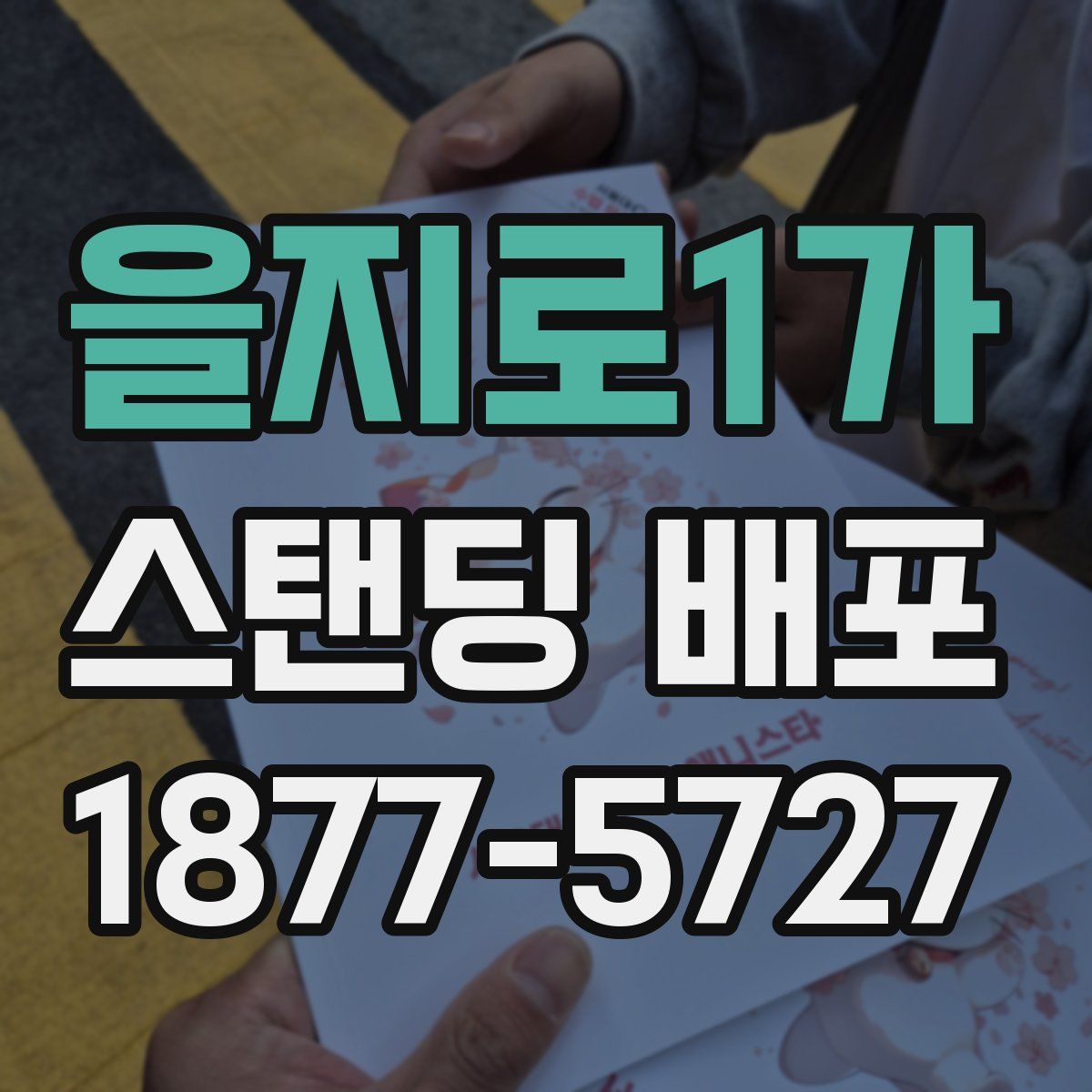 을지로1가 스탠딩 배포