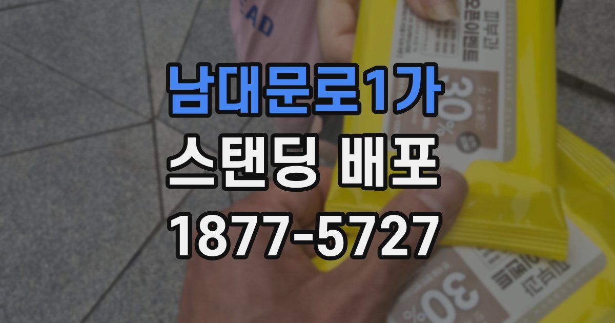 남대문로1가 스탠딩 배포