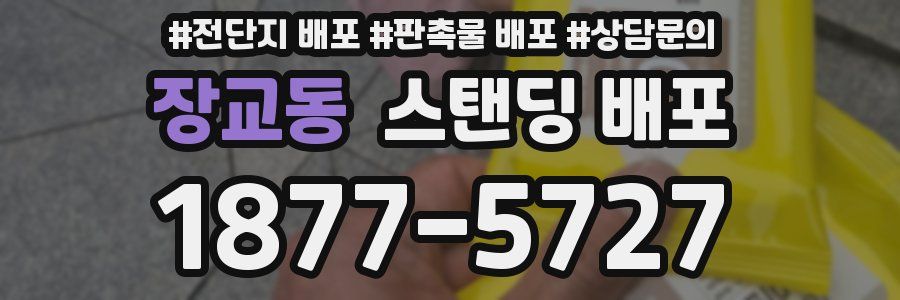장교동 스탠딩 배포