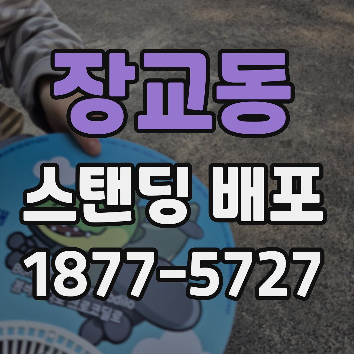 장교동 스탠딩 배포