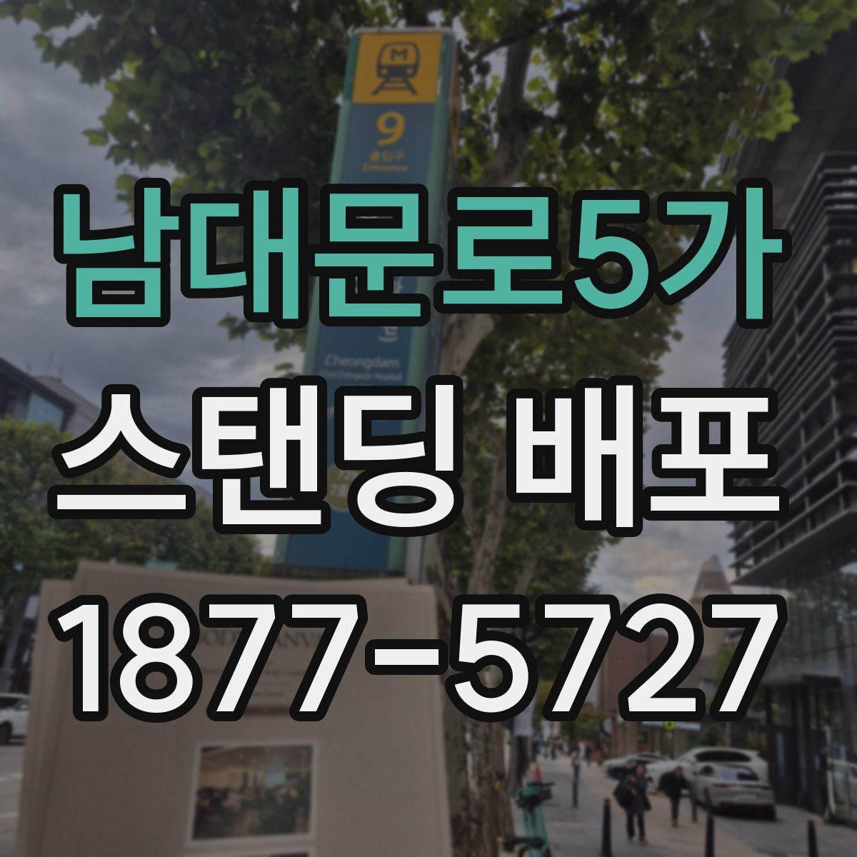 남대문로5가 스탠딩 배포