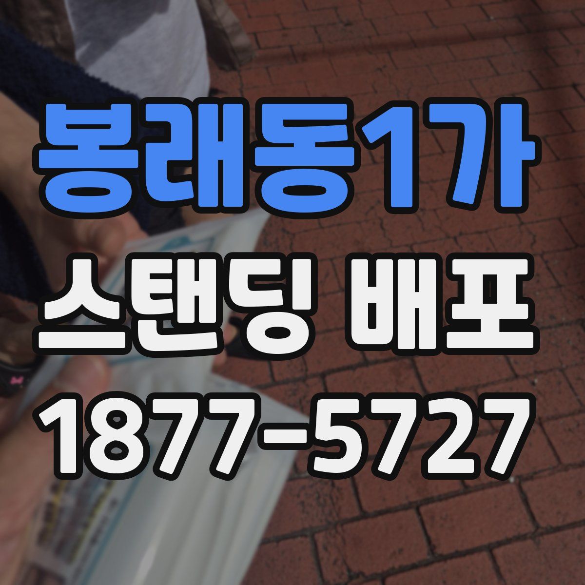 봉래동1가 스탠딩 배포