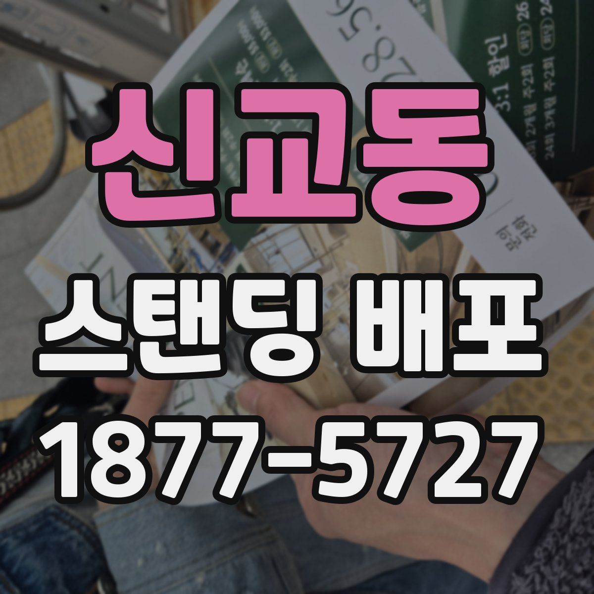 신교동 스탠딩 배포