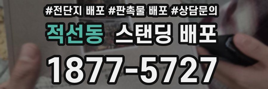 적선동 스탠딩 배포