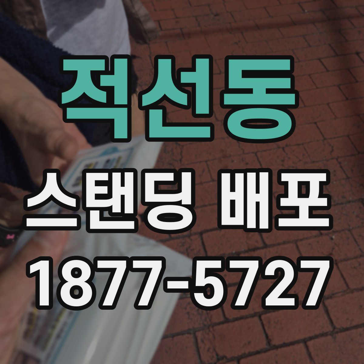 적선동 스탠딩 배포