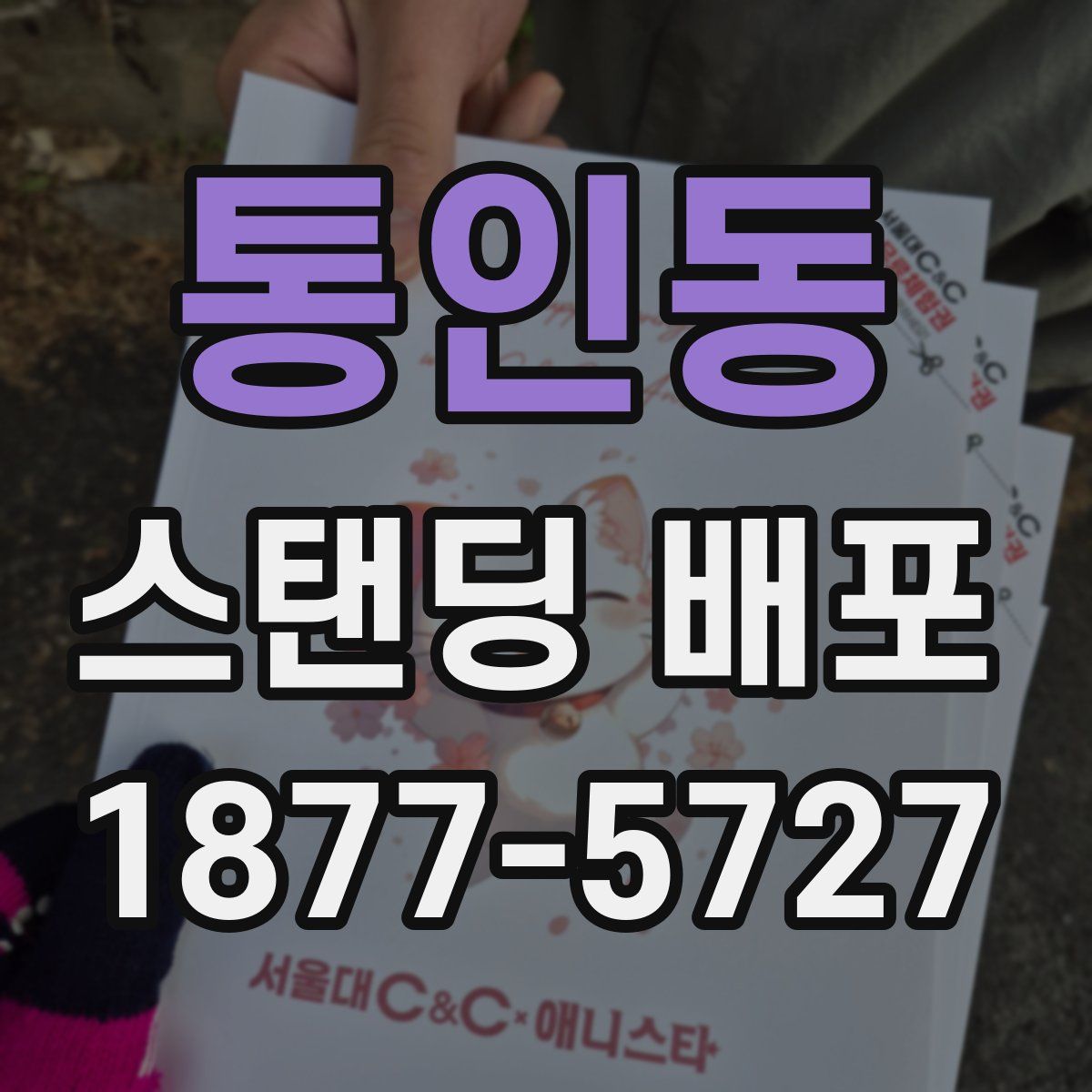 통인동 스탠딩 배포