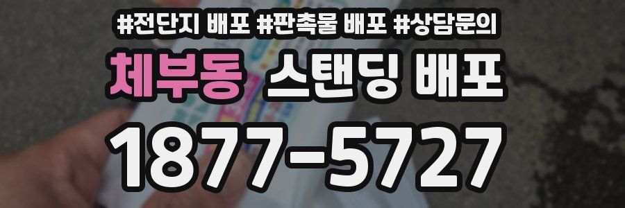 체부동 스탠딩 배포