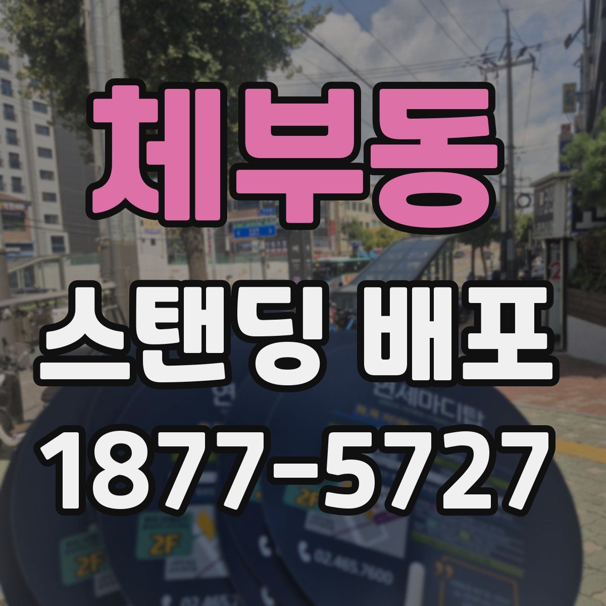 체부동 스탠딩 배포