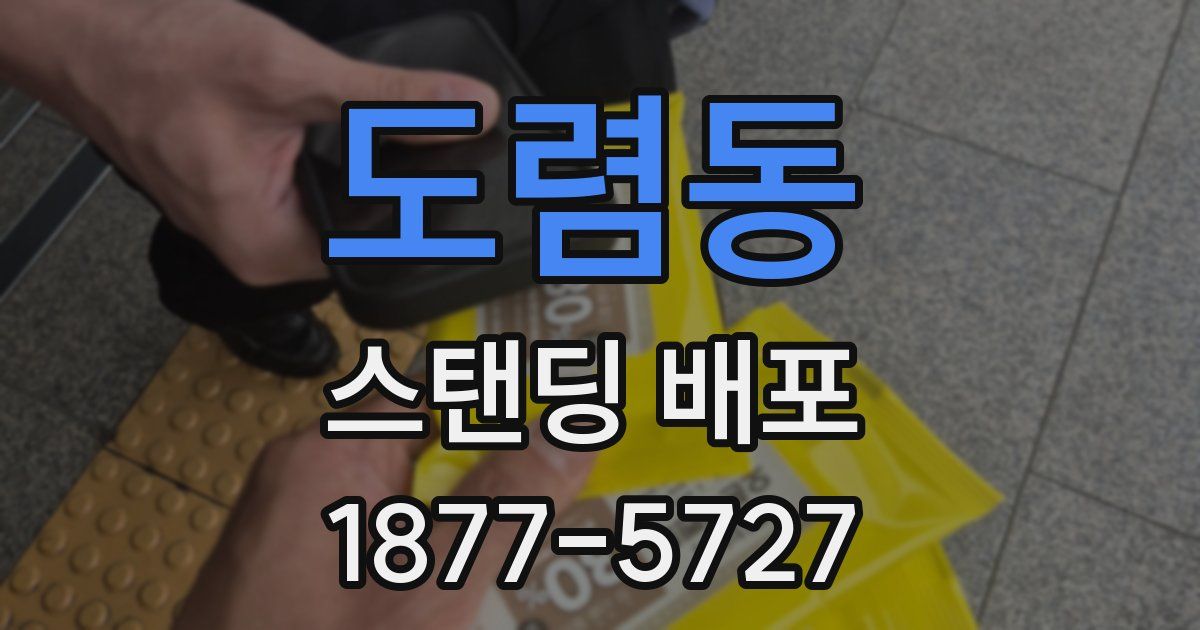 도렴동 스탠딩 배포