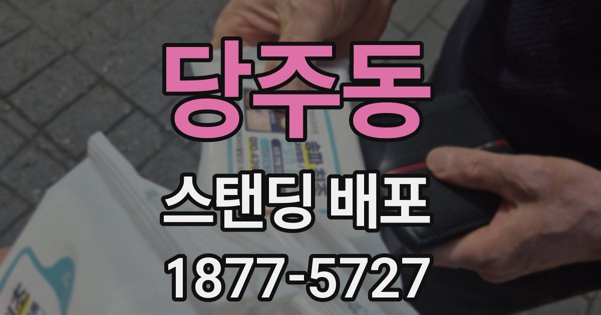 당주동 스탠딩 배포