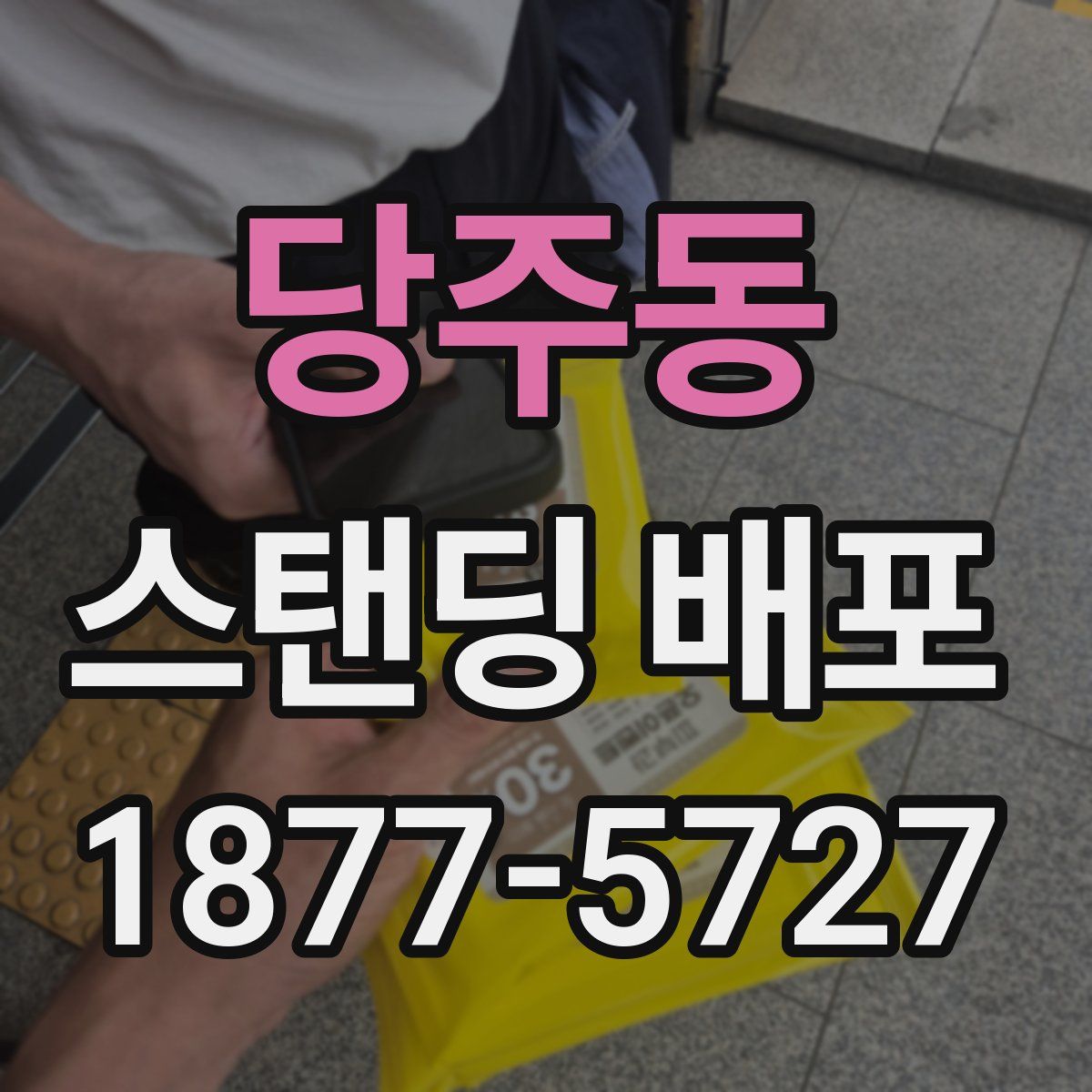 당주동 스탠딩 배포