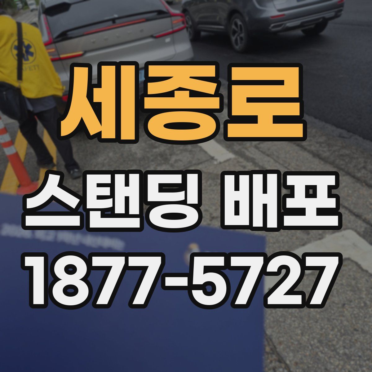 세종로 스탠딩 배포