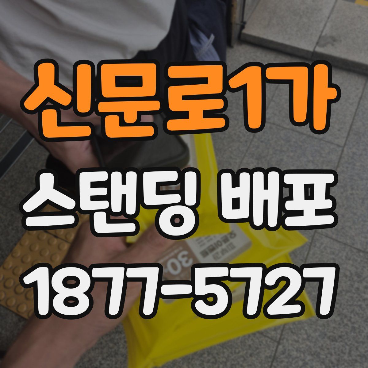 신문로1가 스탠딩 배포