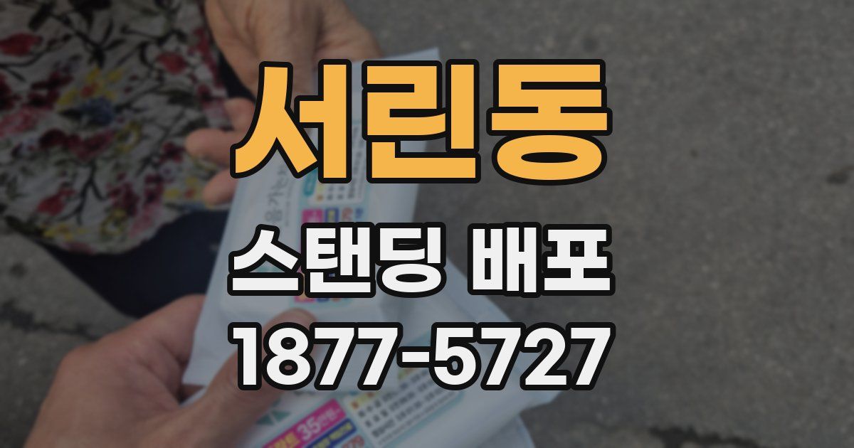 서린동 스탠딩 배포