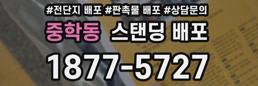 중학동 스탠딩 배포
