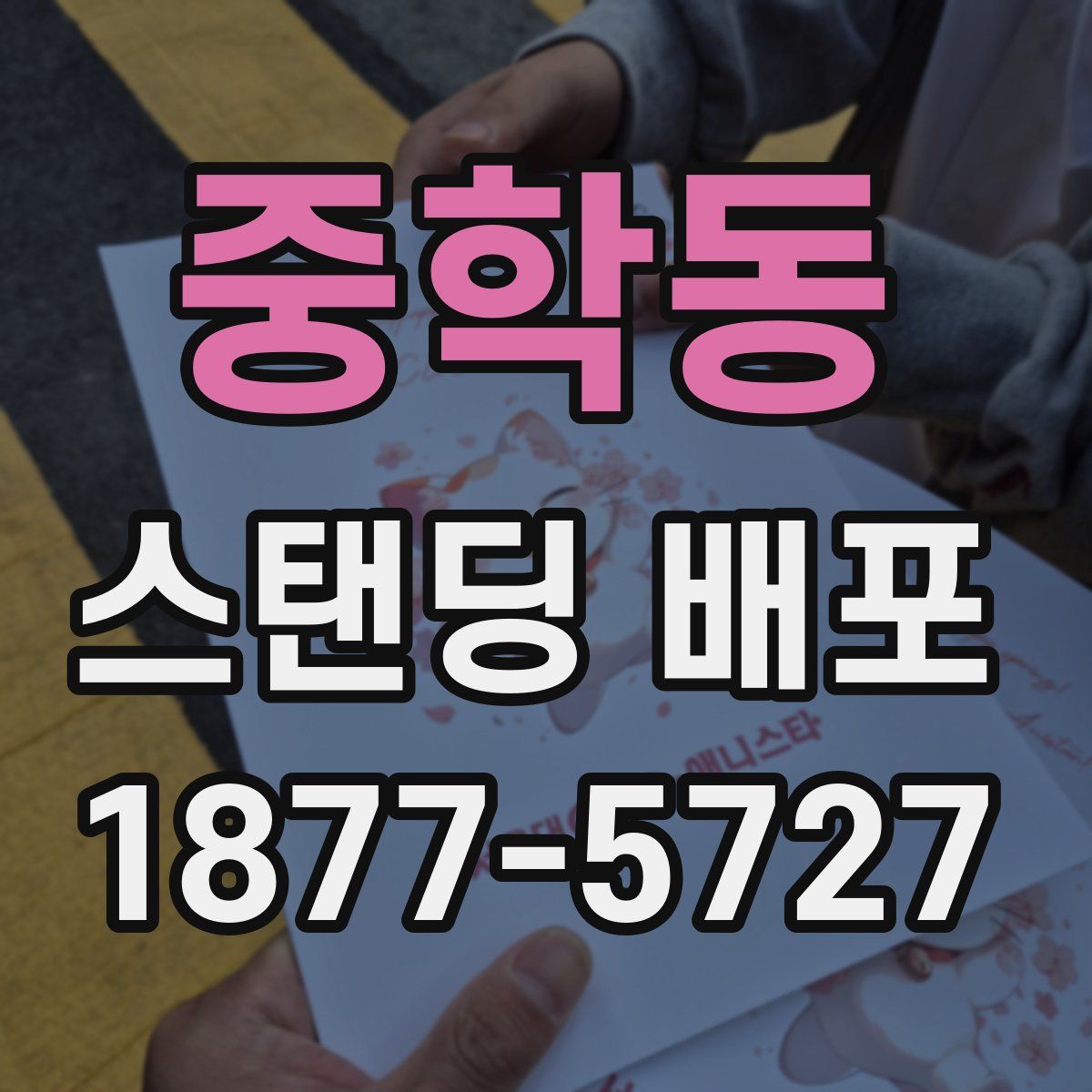 중학동 스탠딩 배포