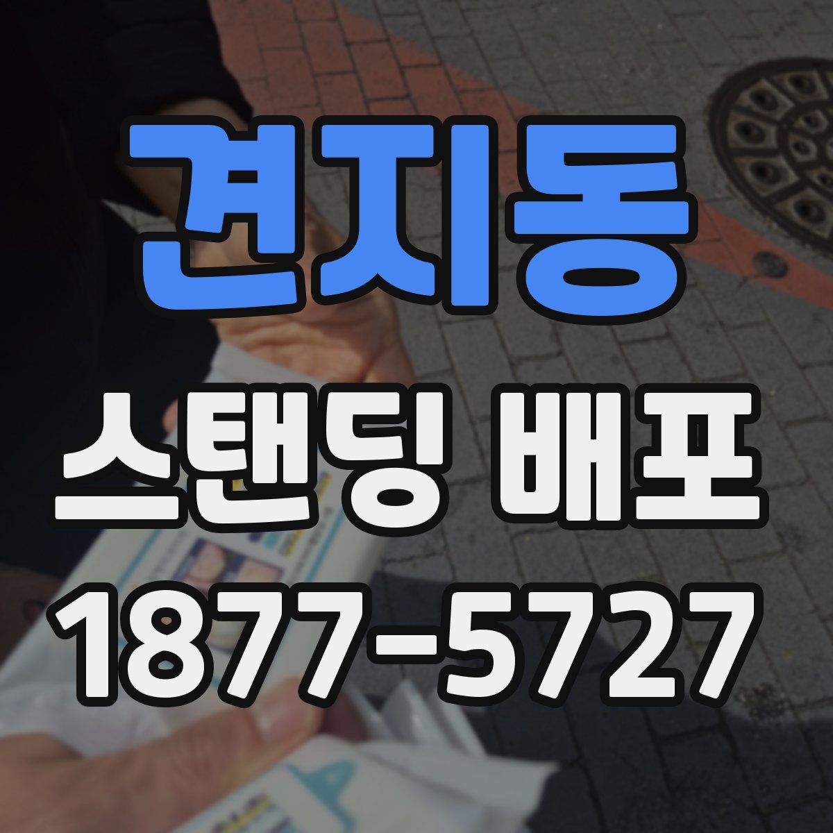견지동 스탠딩 배포