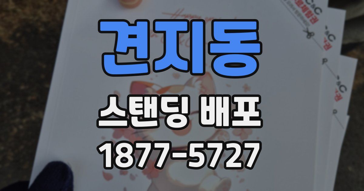 견지동 스탠딩 배포