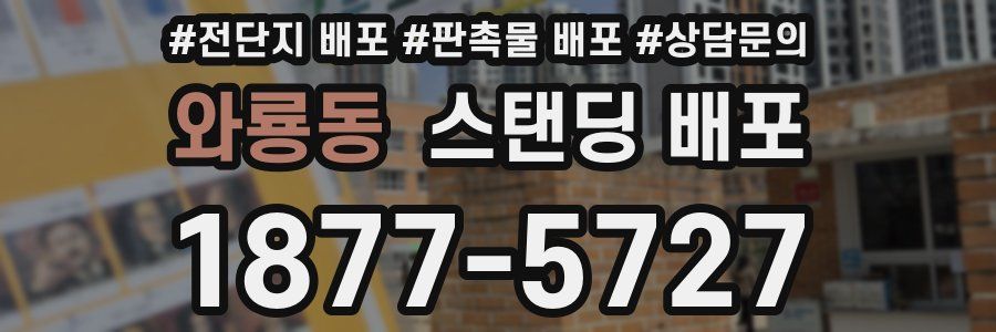 와룡동 스탠딩 배포