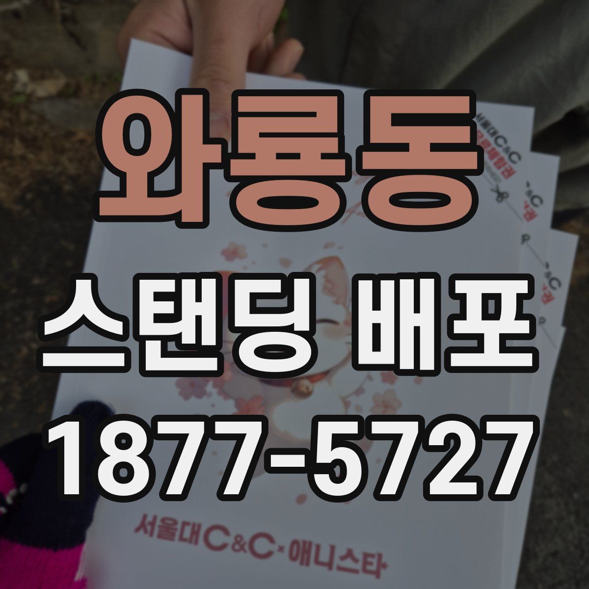 와룡동 스탠딩 배포