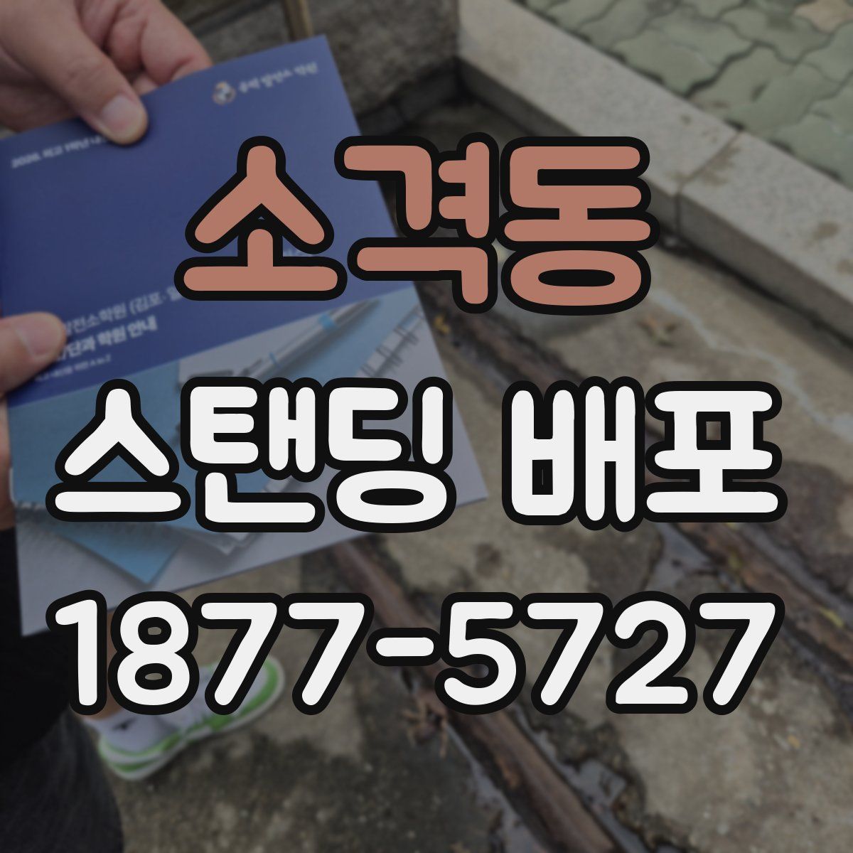 소격동 스탠딩 배포