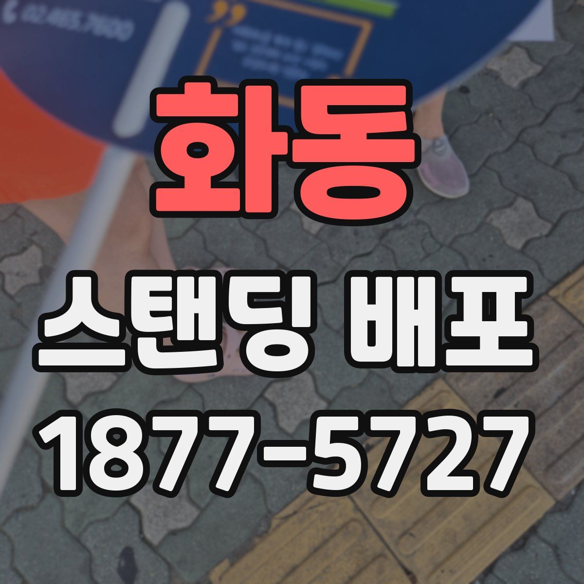 화동 스탠딩 배포