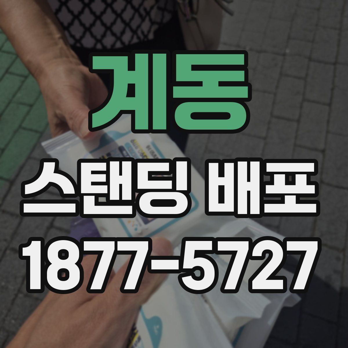 계동 스탠딩 배포