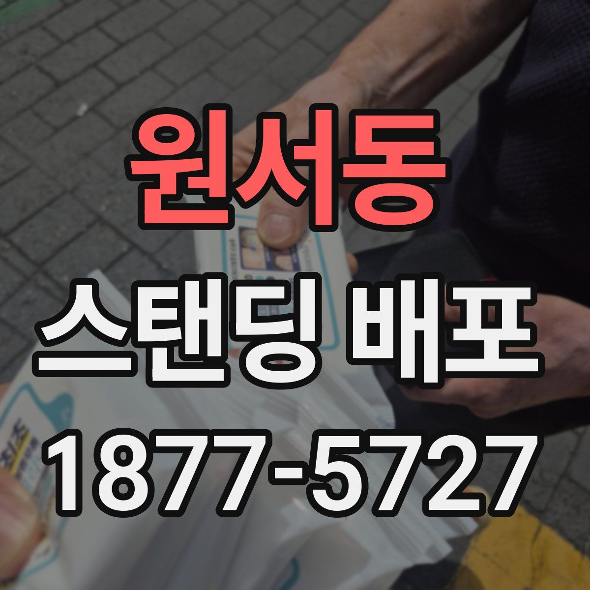 원서동 스탠딩 배포