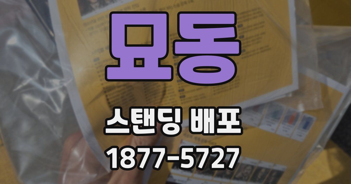 묘동 스탠딩 배포