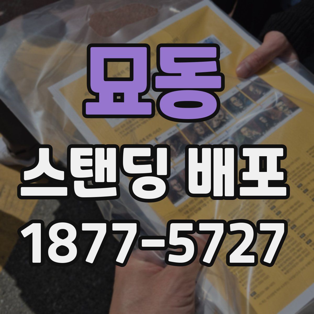 묘동 스탠딩 배포