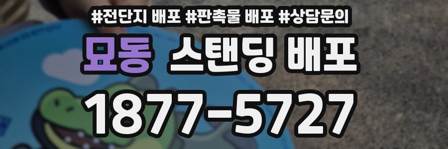 묘동 스탠딩 배포