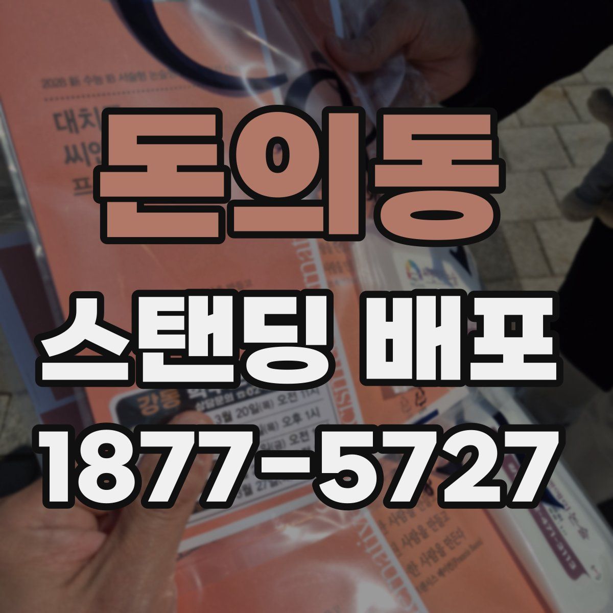 돈의동 스탠딩 배포