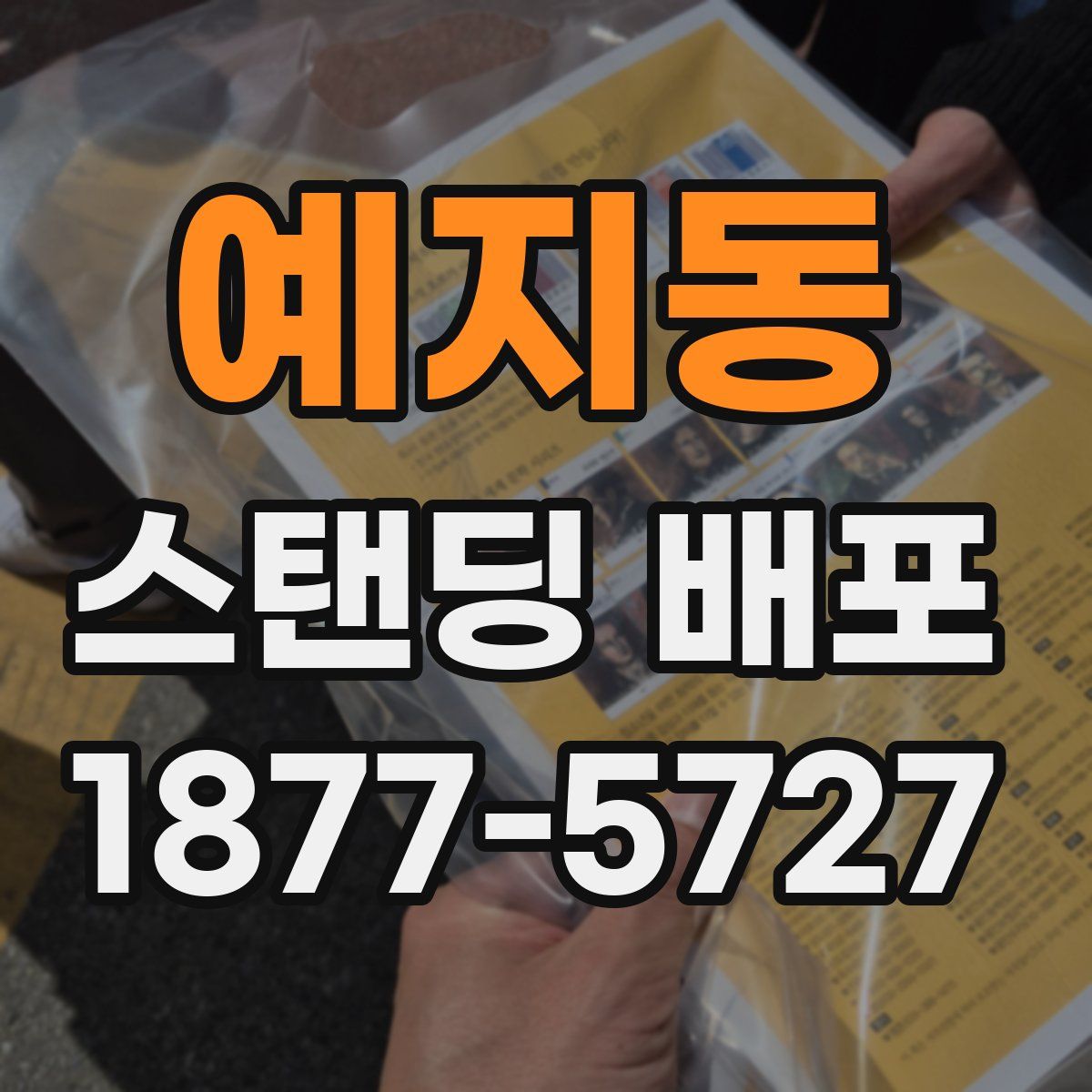 예지동 스탠딩 배포