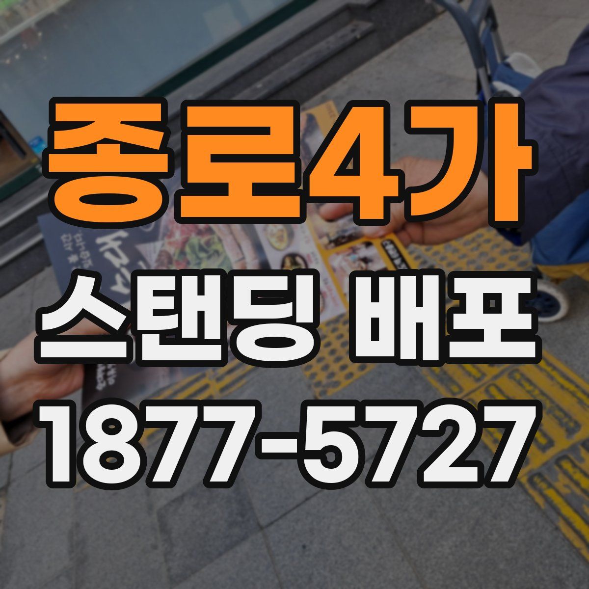 종로4가 스탠딩 배포
