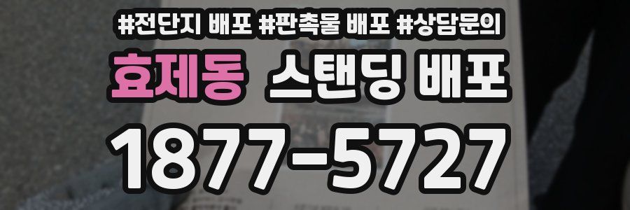 효제동 스탠딩 배포