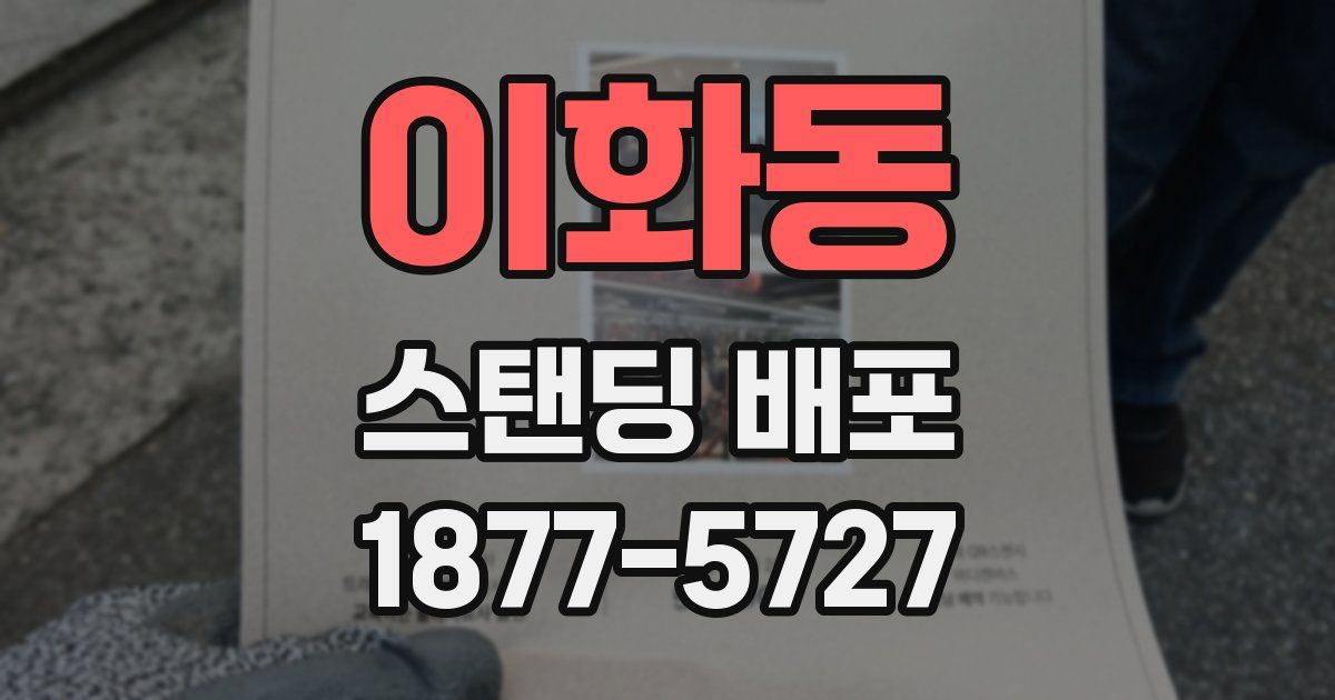 이화동 스탠딩 배포